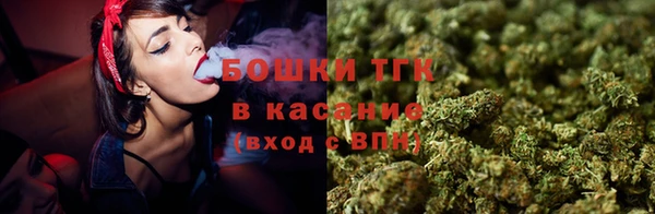 прущие грибы Касимов