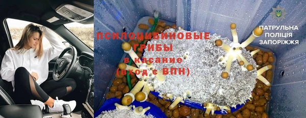 ПСИЛОЦИБИНОВЫЕ ГРИБЫ Карпинск