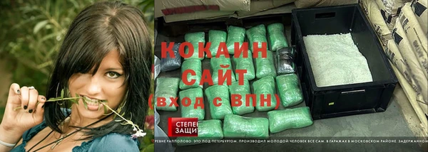 прущие грибы Касимов