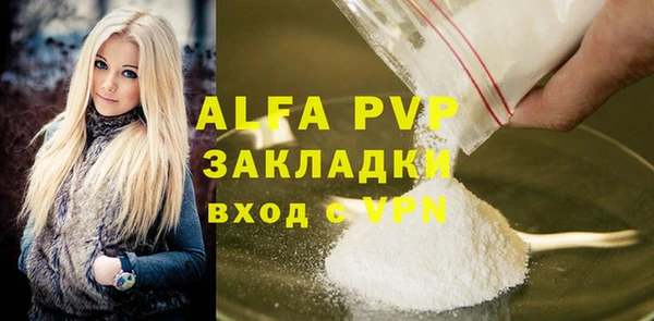 прущие грибы Касимов