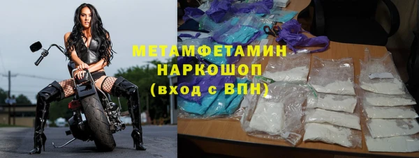 прущие грибы Касимов